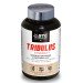 STC Nutrition Tribulus Synergy+ 90 gélules